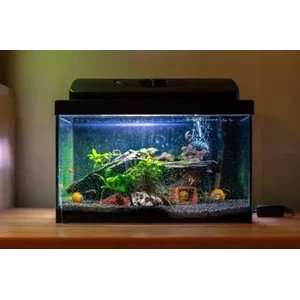 Aquarium kaca